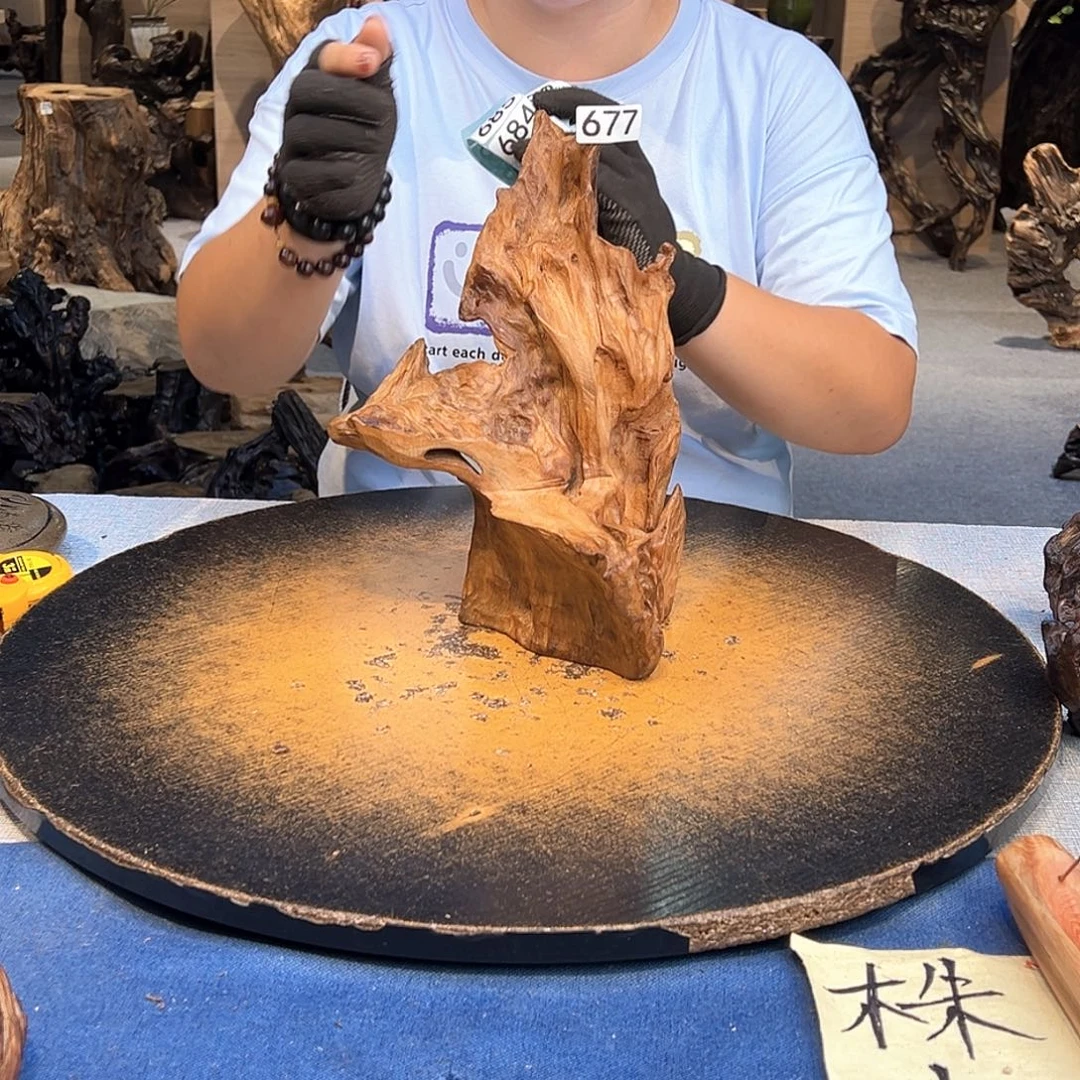 田***游木677vvggvvggggggggvg