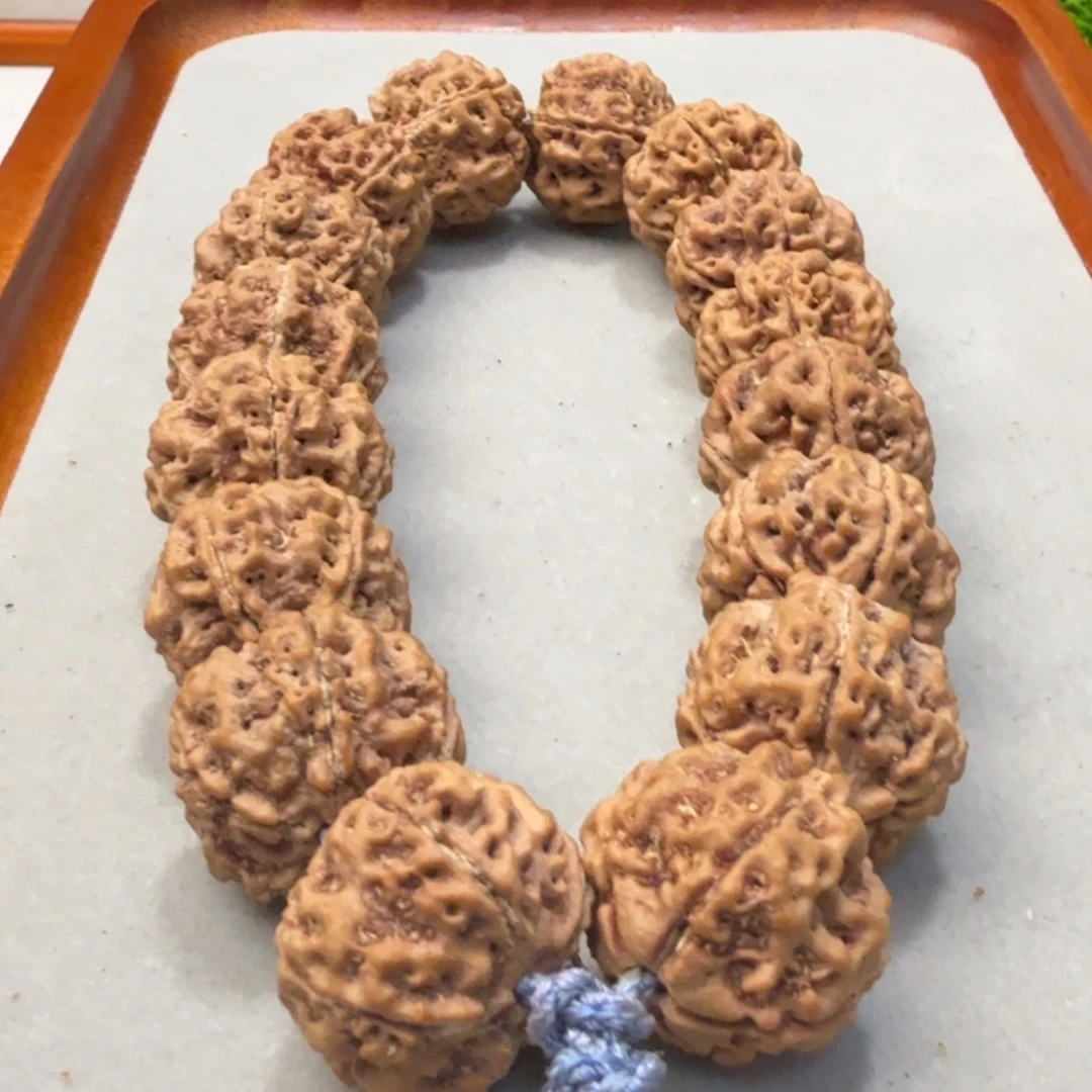 金刚菩提吊坠雪山铁籽粗筋蜂窝双龙爆肉