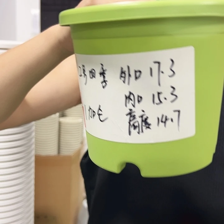 特价2号口17高15白色无托10只