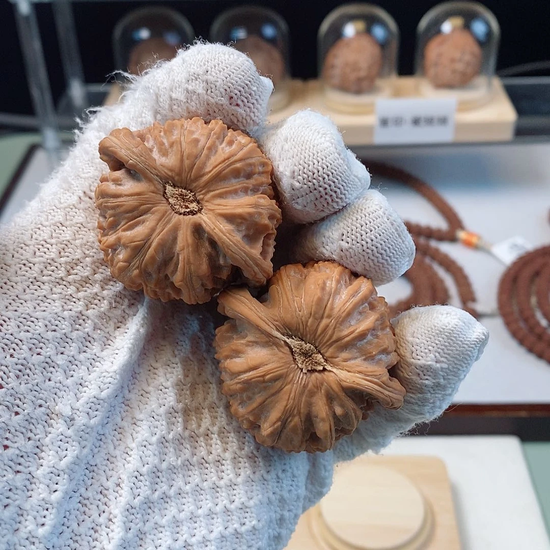 金刚菩提手串Y*球白