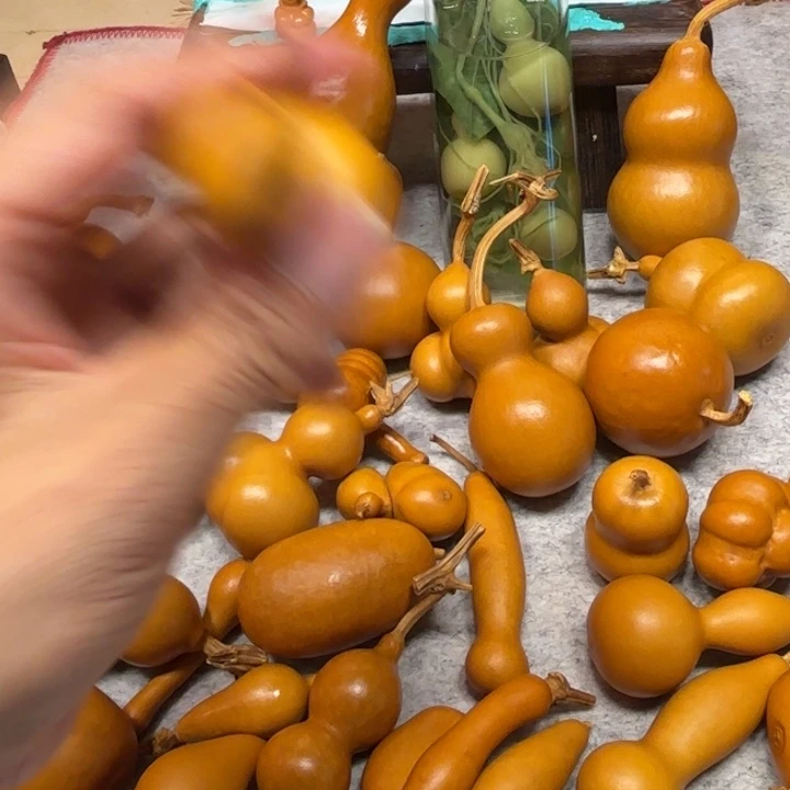 焦***糖长了一把，像鼻子焦糖焦糖的一把向鼻子糊了