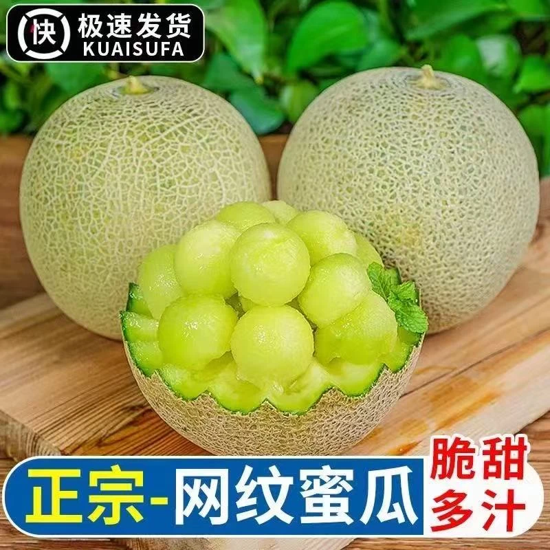 山东正宗正宗冰淇淋网纹蜜瓜水果