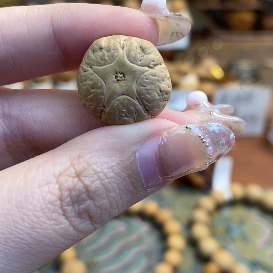 吊坠凤眼菩提五星