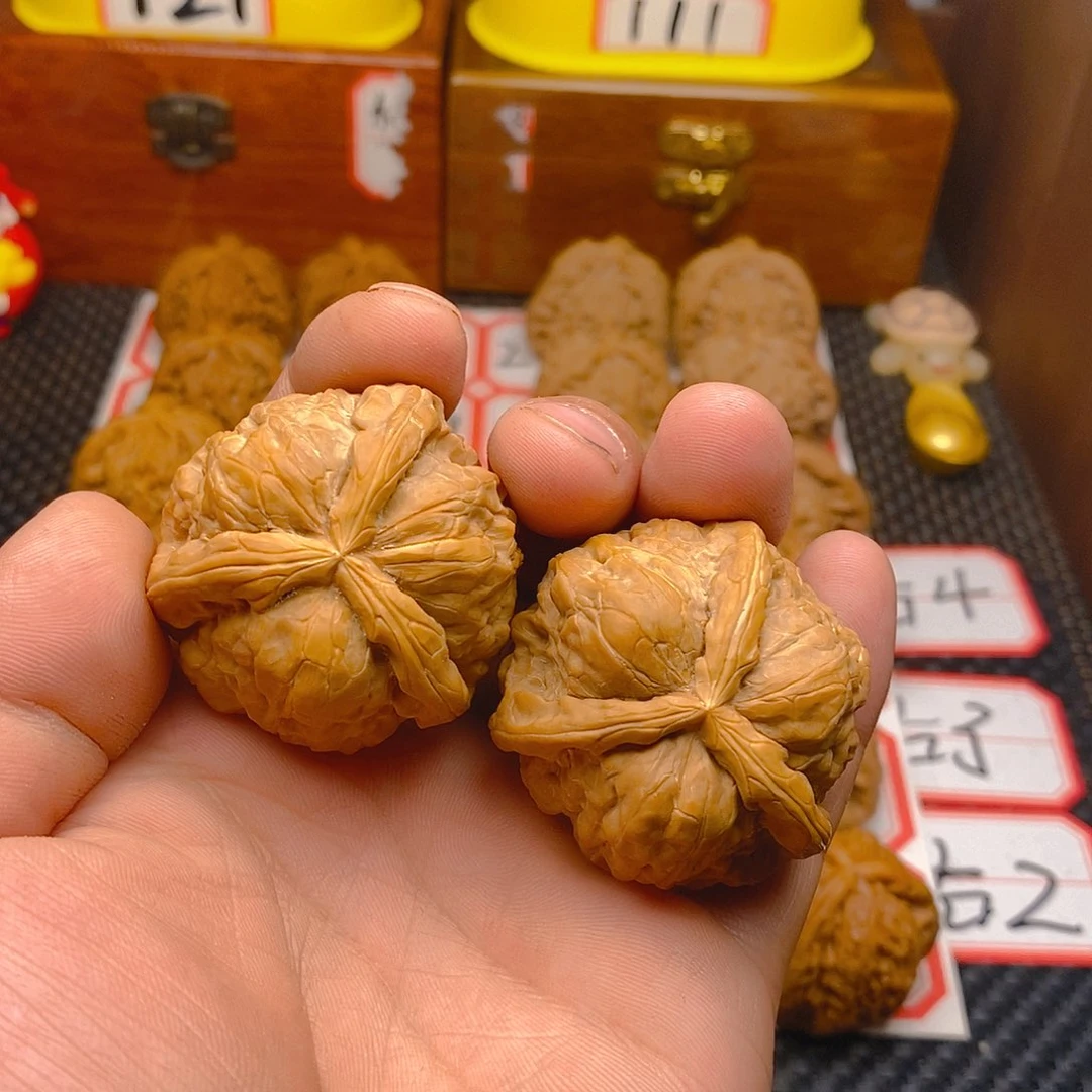 核桃山*文玩核桃青皮树上班了，