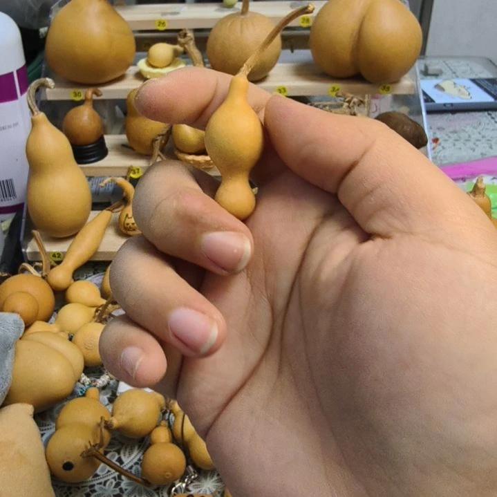 刚****地方KFF朗格里格朗