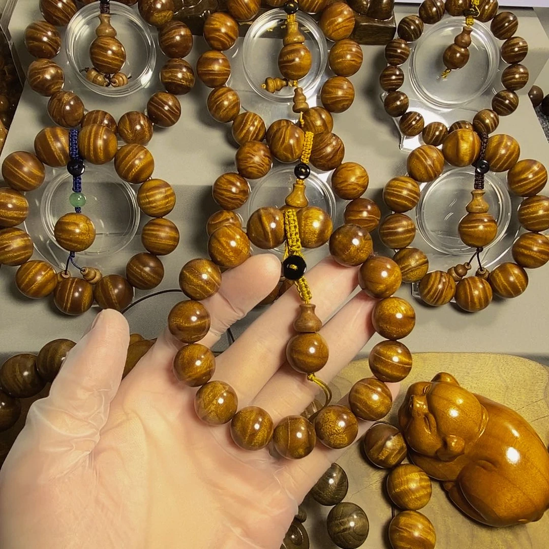 埋***面金丝楠金丝楠小叶桢楠1.5