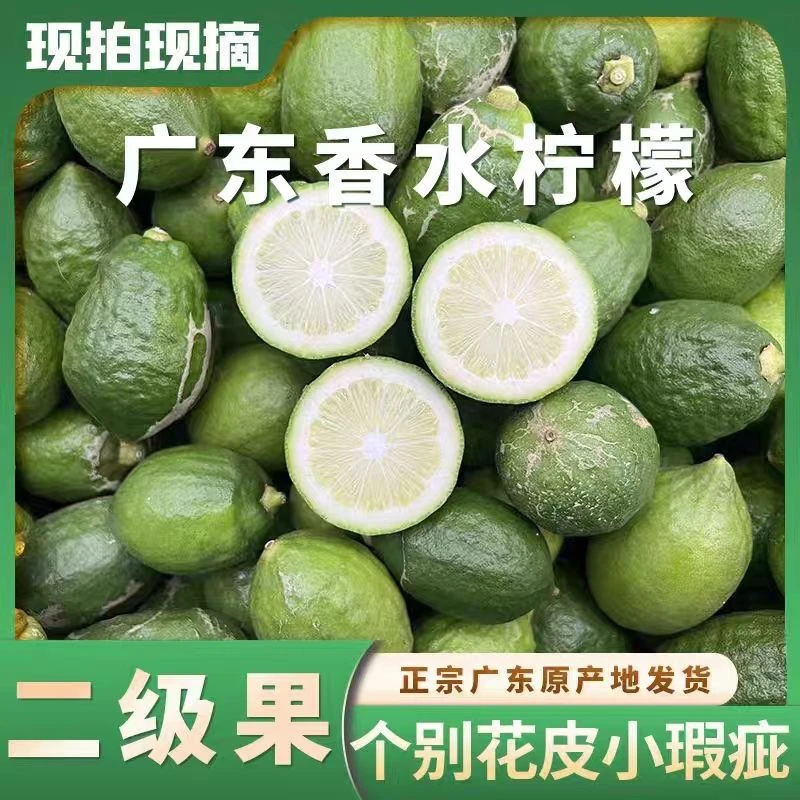【二级果】广东无籽香水柠檬产地直发奶茶店柠檬茶专用【裸果出货】