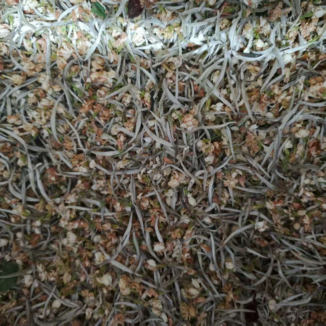 奶香茉莉银针  50g
