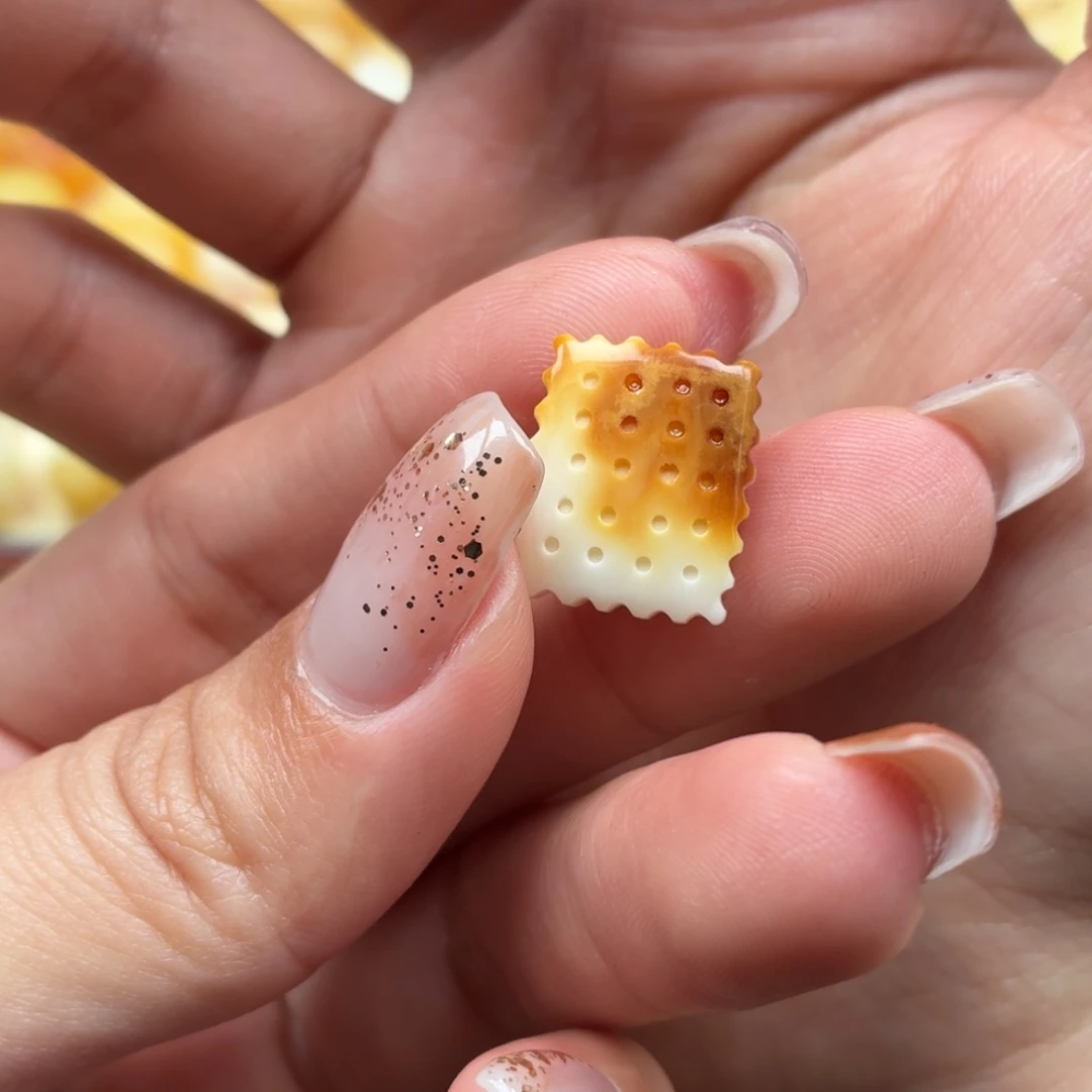 琥珀未镶嵌裸石蜜蜡