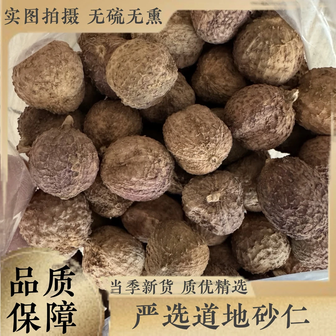 三合本草【砂仁 阳春砂】中药材砂仁阳春砂砂仁粉砂仁无硫熏可打粉