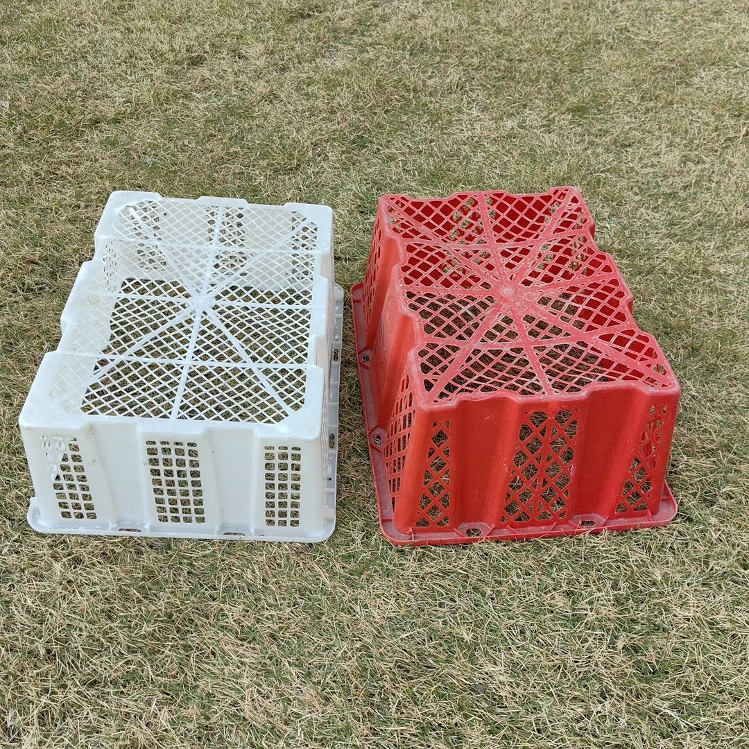 腾欣出壳专用塑料筐快递箱家用白色多色家用5个装