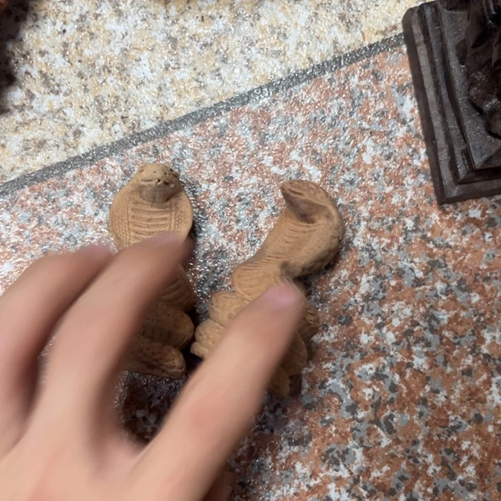 振***宁木................