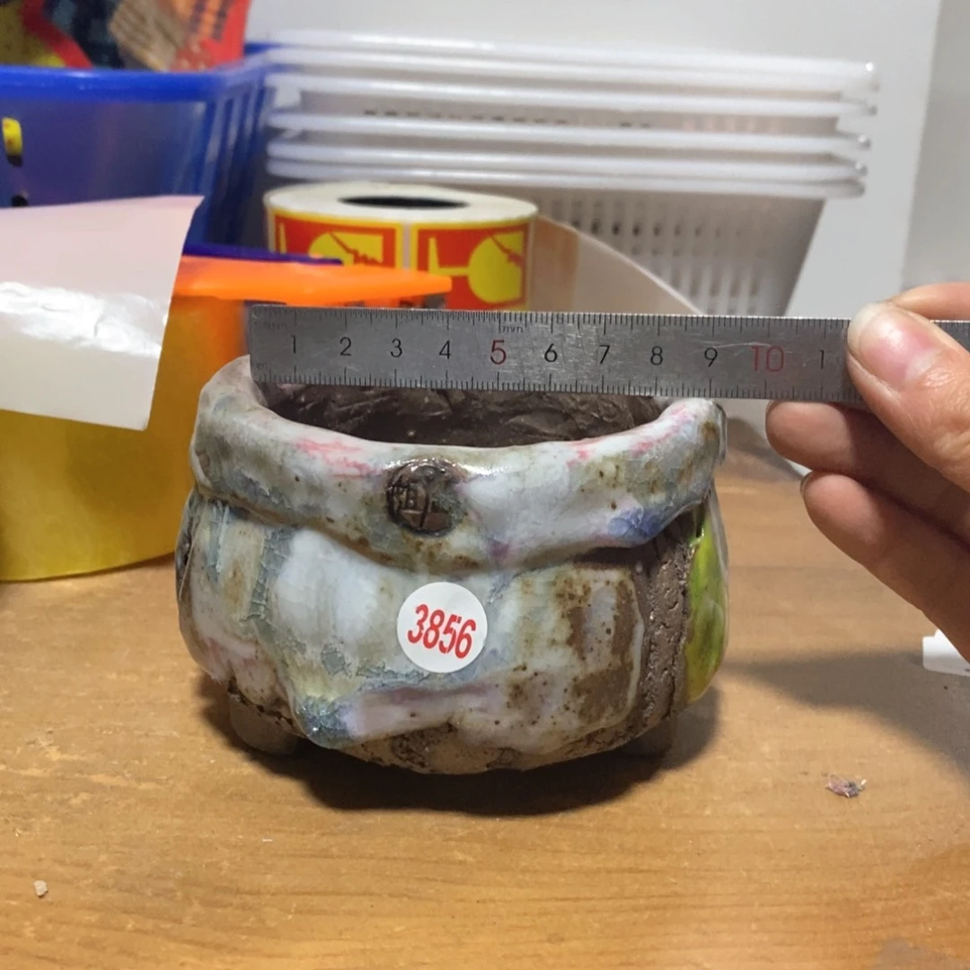 红陶拍3送一个小
