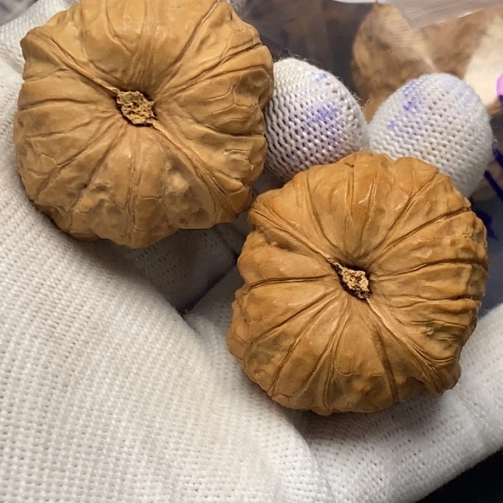 文玩核桃把件是****狗nan gua dun