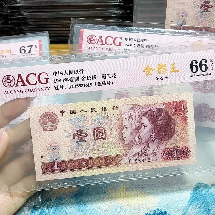 15581615。。。。。金龙王