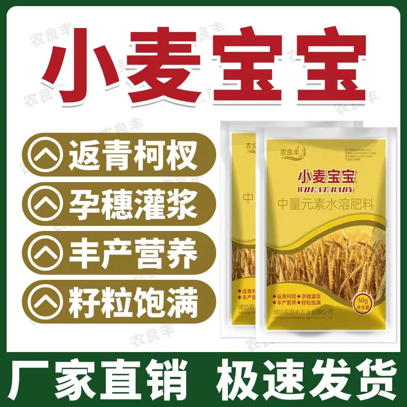 小麦专用水溶肥大粒分蘖生根壮苗抗倒伏促返青正品水溶叶面肥