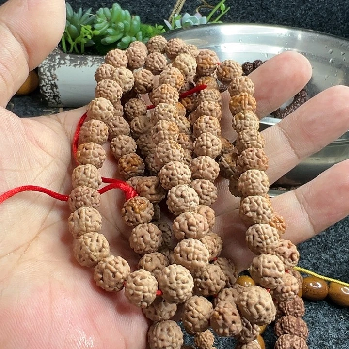 金刚菩提手串死**琪蛤蟆背退货的福利