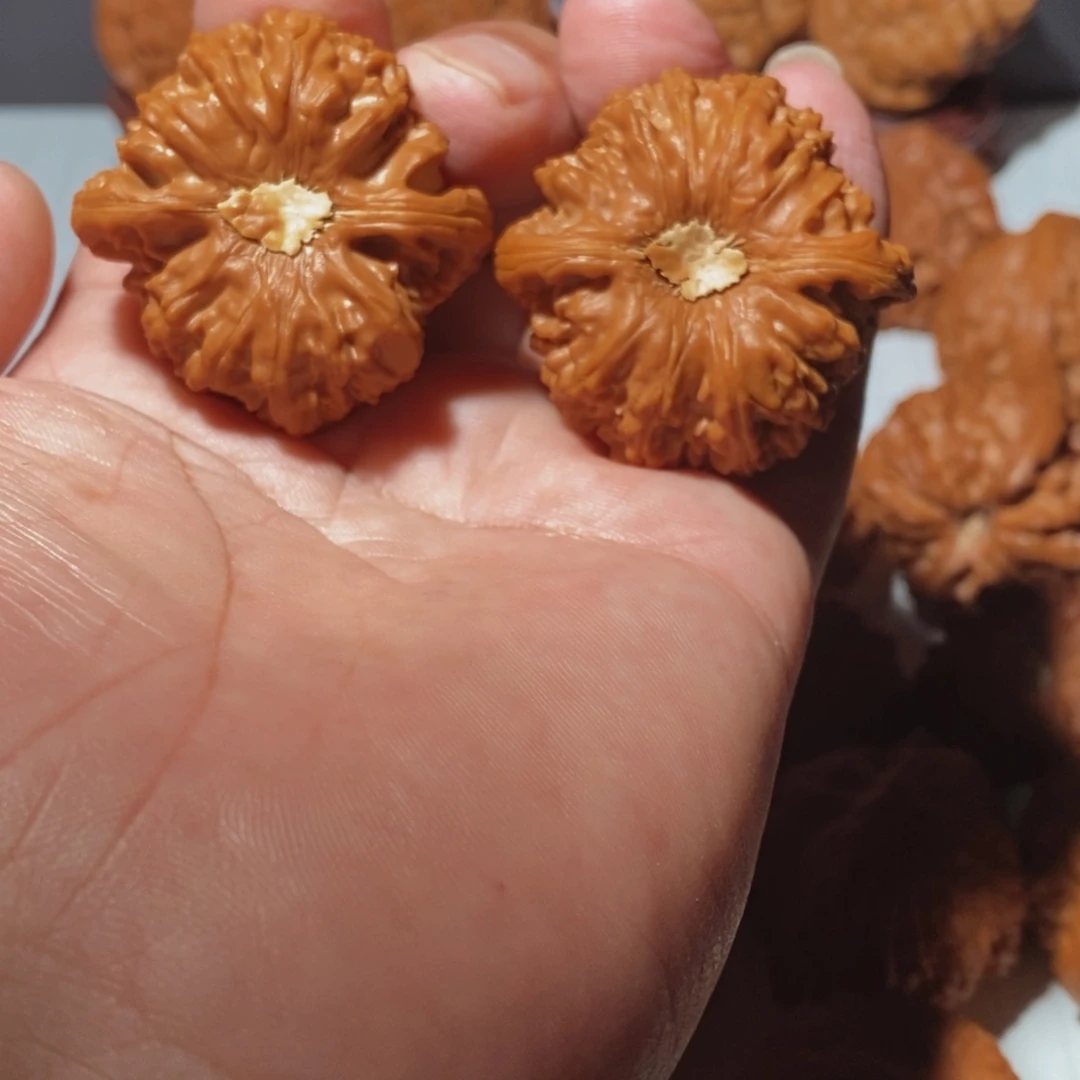 把件文玩核桃白狮子石膏底
