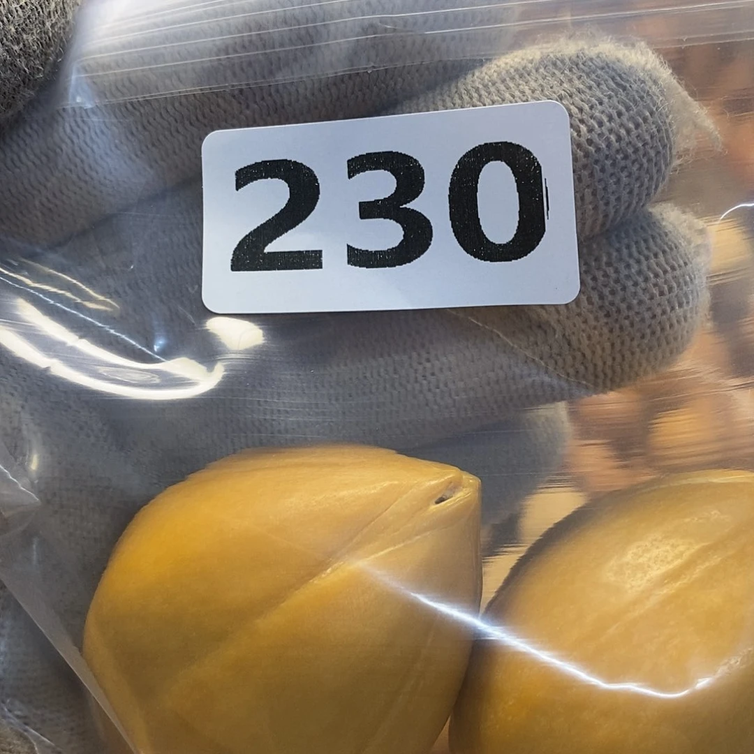 吊坠橄榄核沃*文化交流