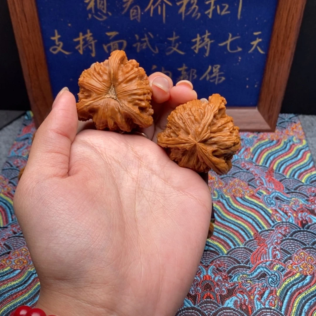 【闪购商品】上**水白狮
