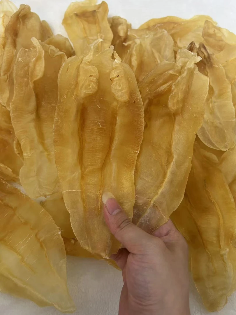 【11头北海公】花胶鱼胶干货孕妇月子滋补品深海厚肉公肚花胶鱼胶