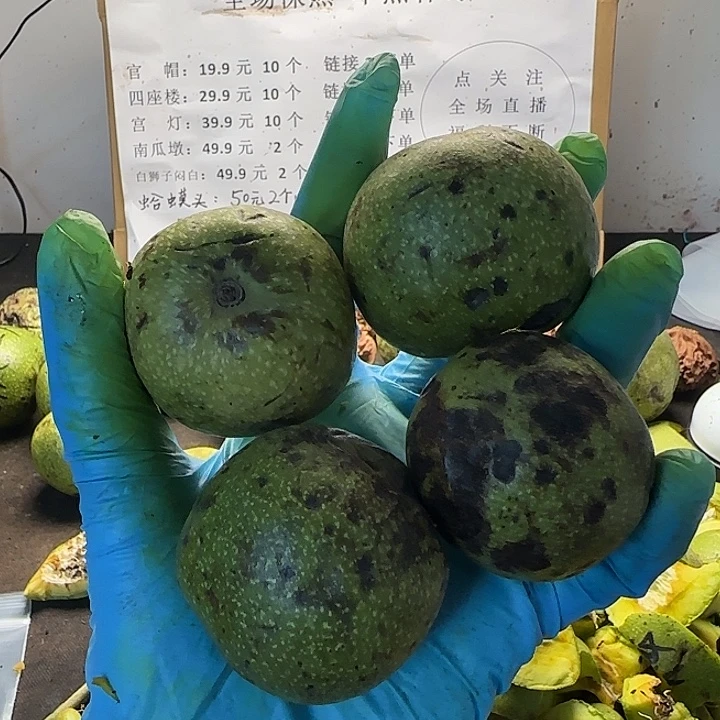 吊坠文玩核桃白狮子4中