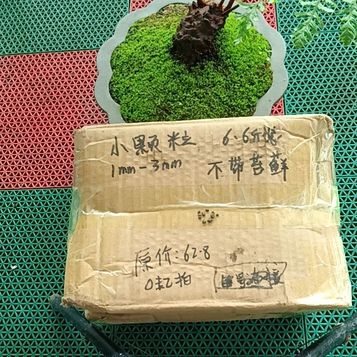 小***儿兰菌颗粒   小颗粒6.6斤
