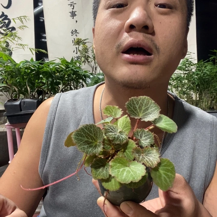 以实际为准退款拉黑一物一拍