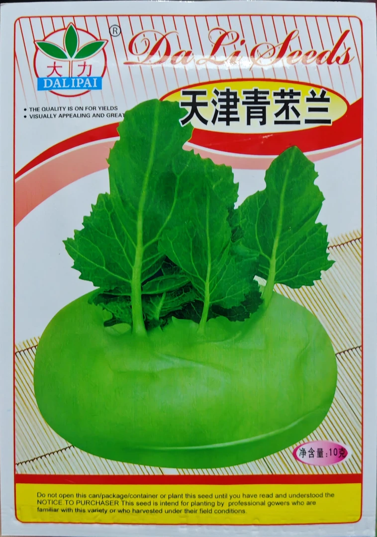 天津青苤蓝光头大芥菜心里美萝卜合集