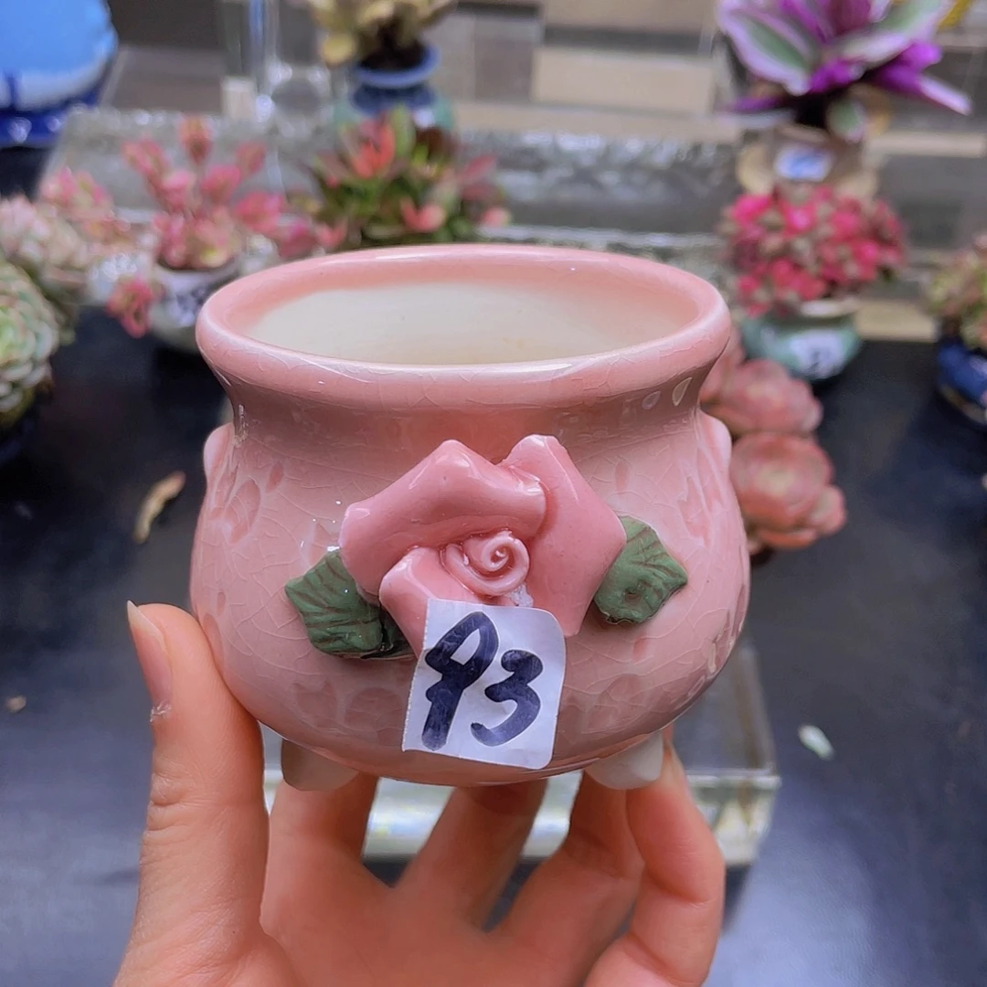 啄***i花钱花钱花钱花钱花钱
