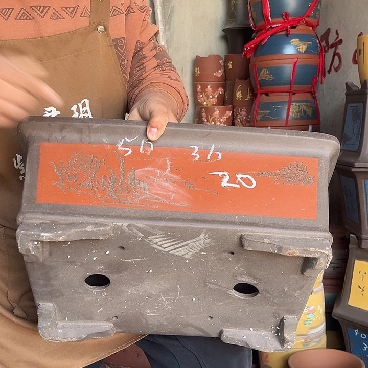 紫砂紫砂花盆盆栽