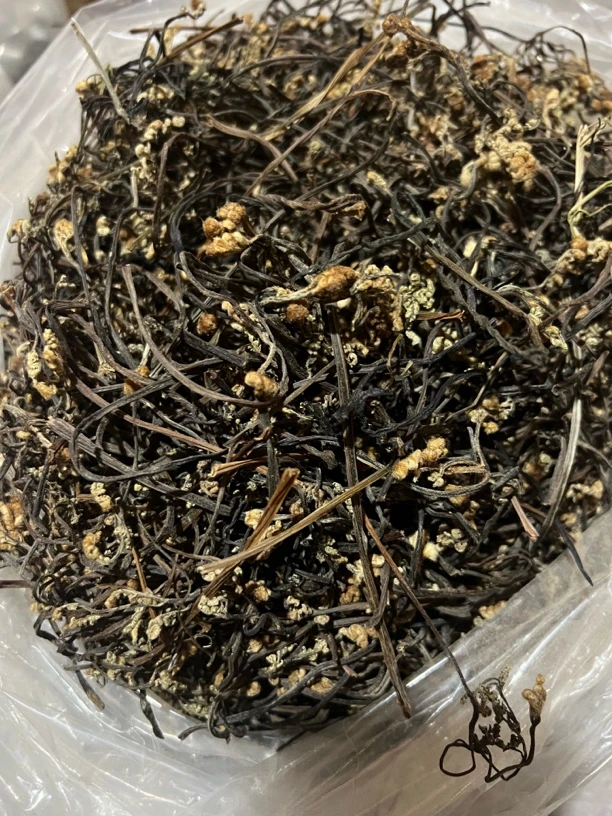 野生蕨菜干 农家自晒干蕨菜