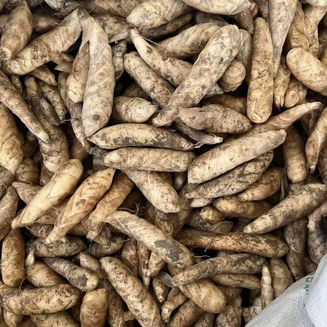 ［竹薯］煲汤直接烤