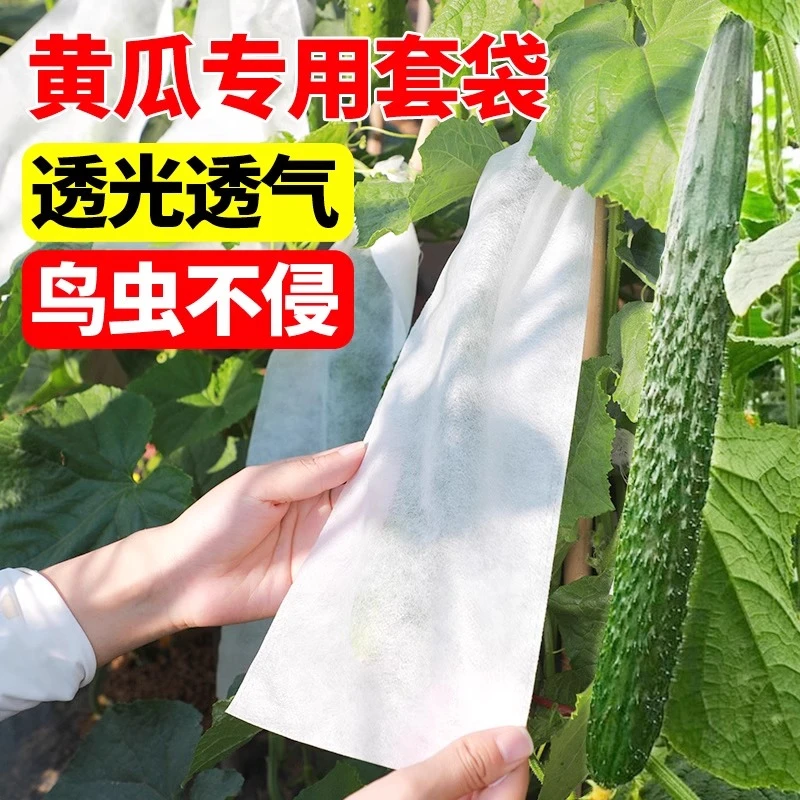 苦瓜丝瓜羊角蜜青瓜黄瓜套袋网袋防虫袋无纺布保护瓜果防虫防鸟吃