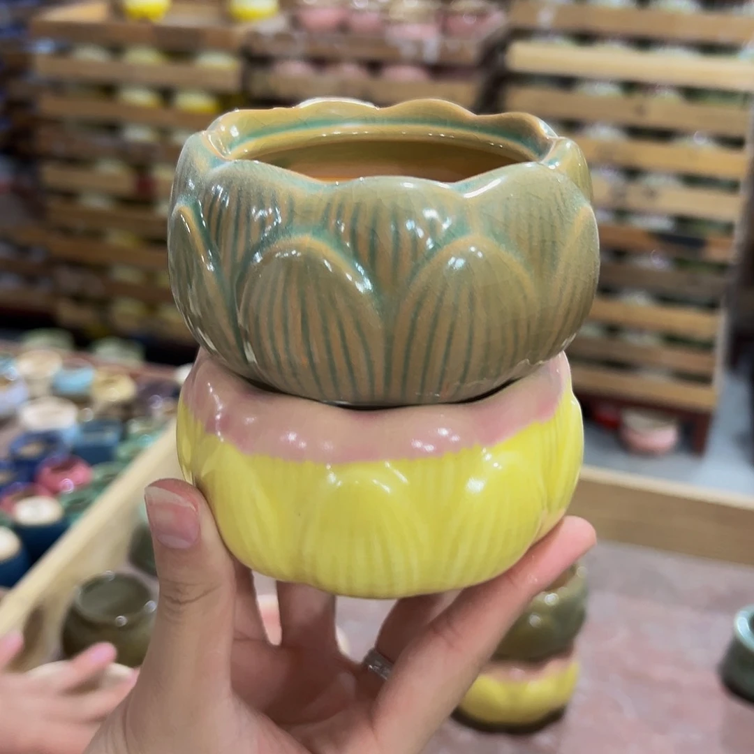 ?*芽下播福利！3秒钟没抢就消失！