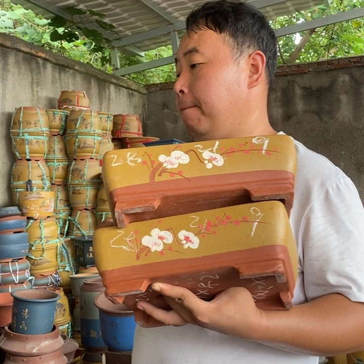 紫砂花盆盆栽花卉苗木