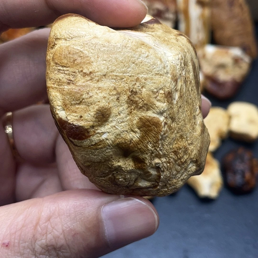 定制琥珀未镶嵌定制