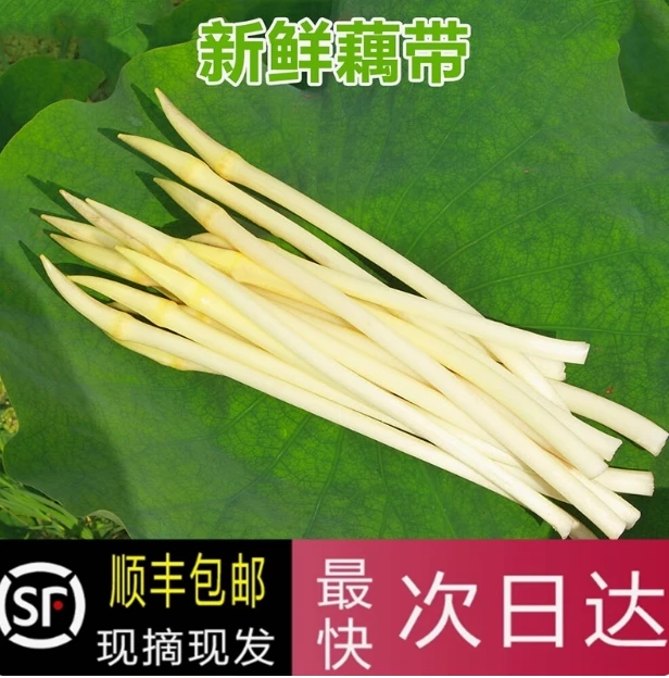 湖北新鲜藕带藕尖藕稍子现采农家时令莲藕藕稍藕肠子加冰顺丰