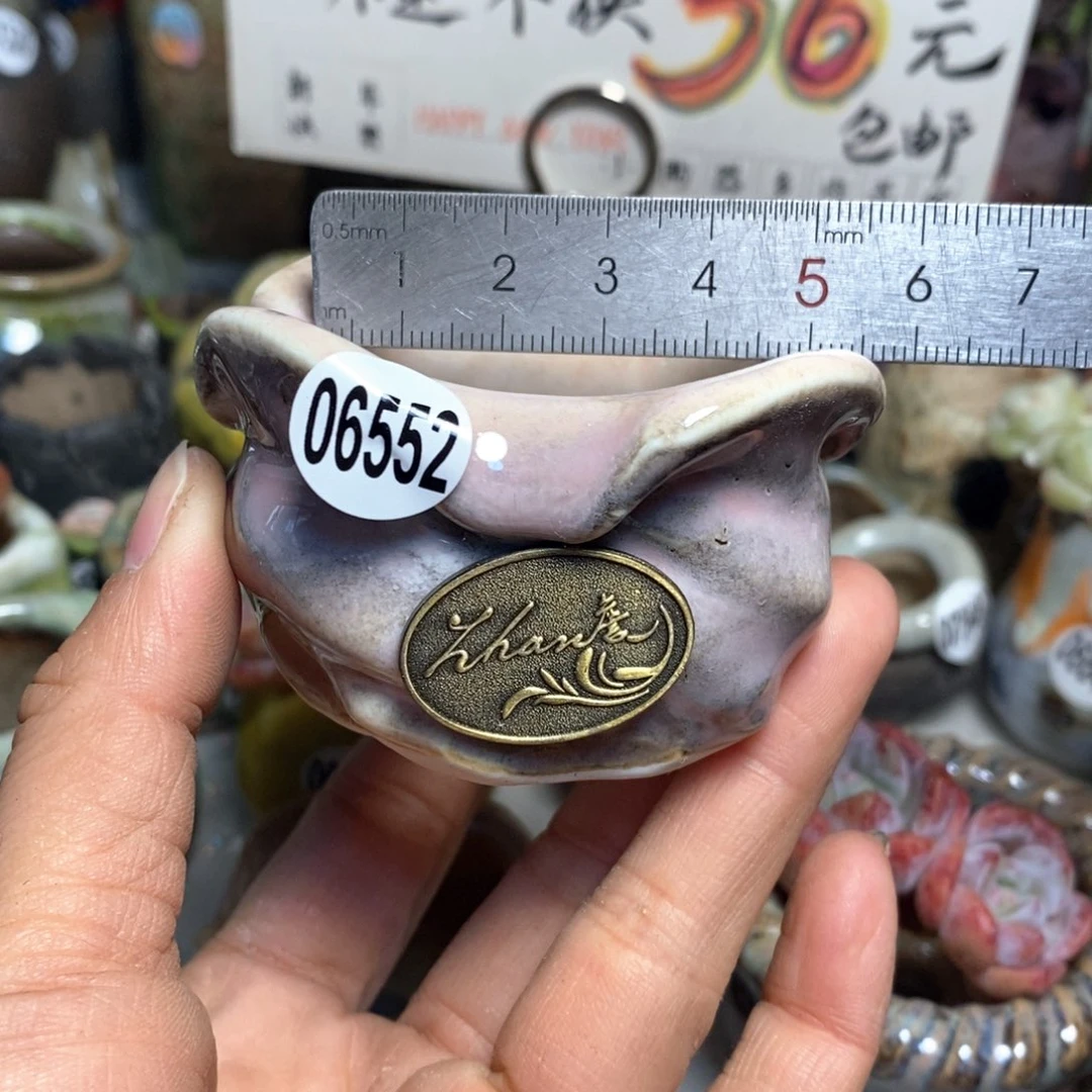 特价花盆拍5送一个小礼物