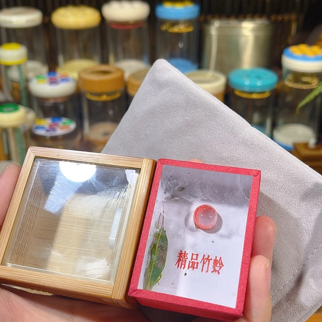 蟋蟀老竹竹蛉盒+绿金钟