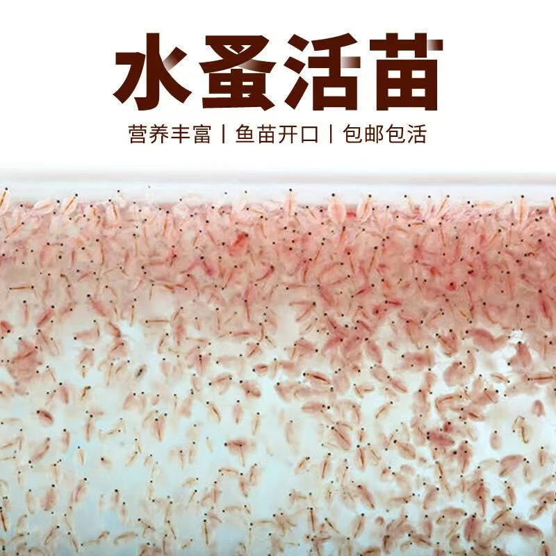 优质水蚤活苗鱼虫蹦蹦活食繁殖饲料蛋白饲料鱼苗红虫幼鱼开口鱼食