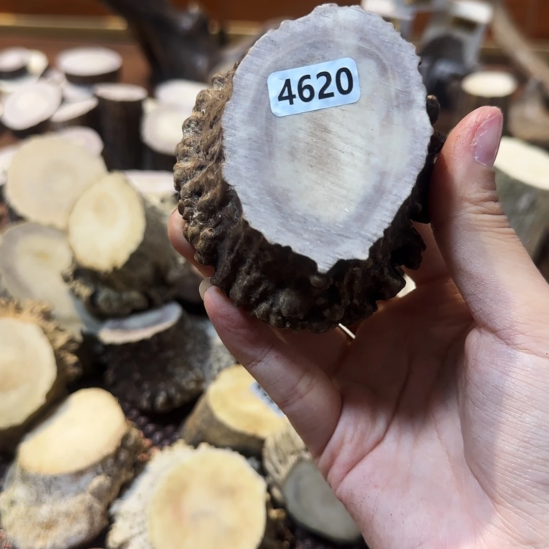 鹿骨手串/手链4620角帽