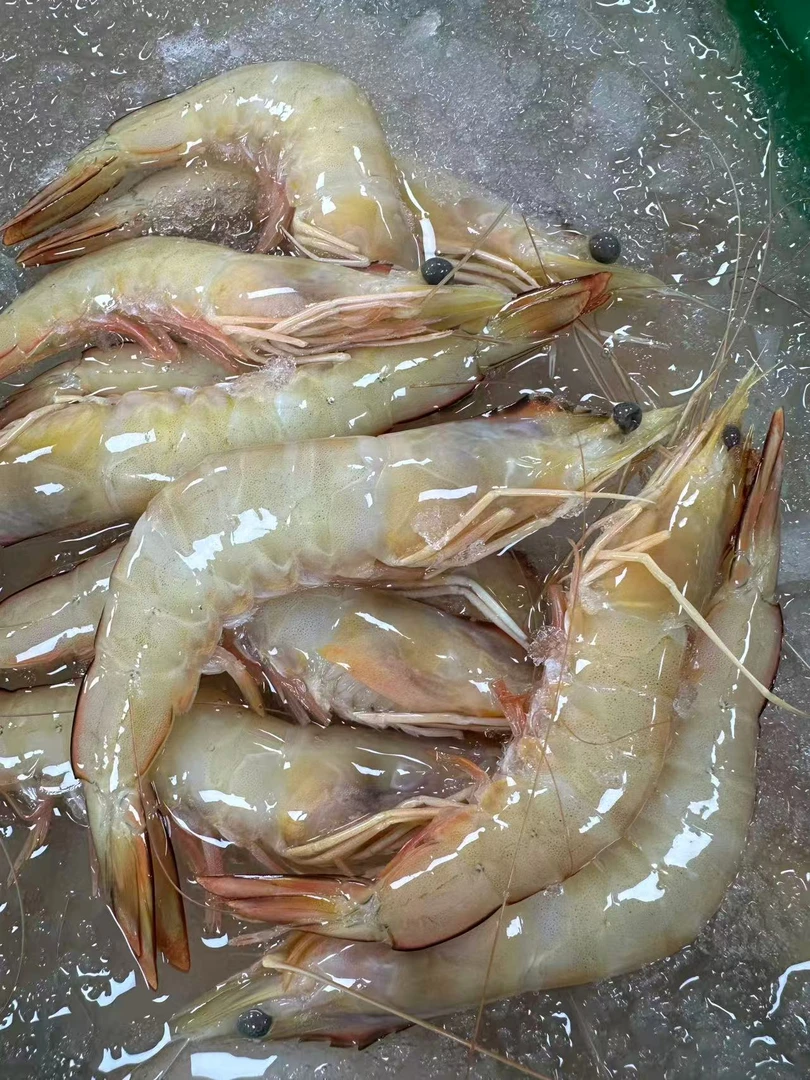 汕尾本港白刺虾（1盒/斤）