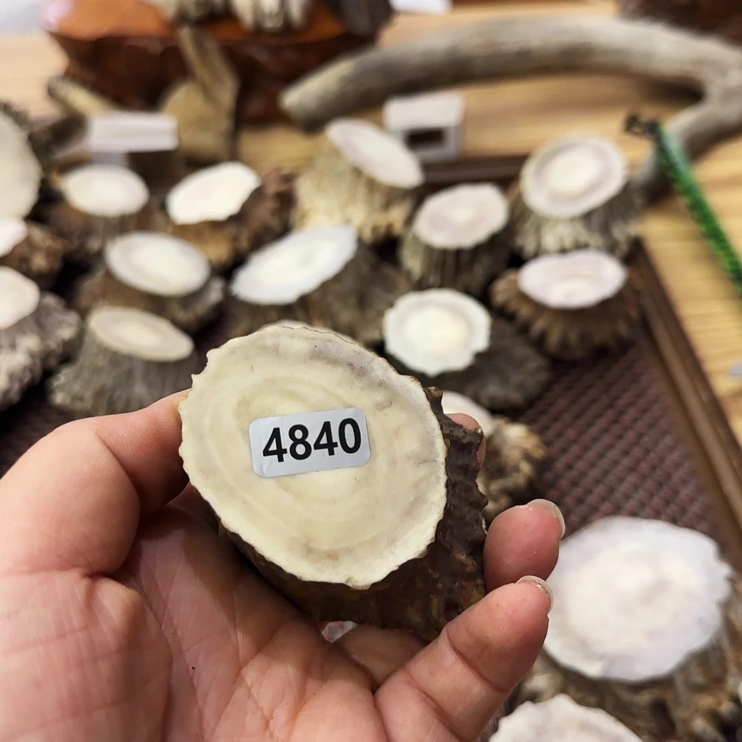 手串/手链鹿骨4840根段