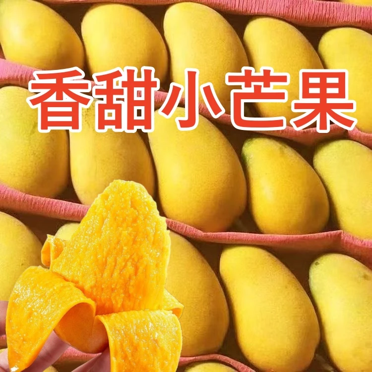 小台芒果当季芒新鲜当季水果肉厚核薄香甜软糯应季小台农芒果整箱