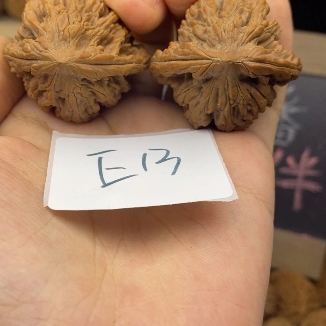 E13红皮麦虎39+全品