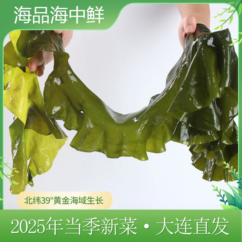 海品海中鲜-整颗盐渍海带净含量4.6斤
