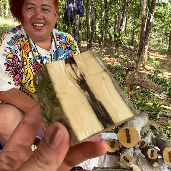 线香余*奇楠沉香原木