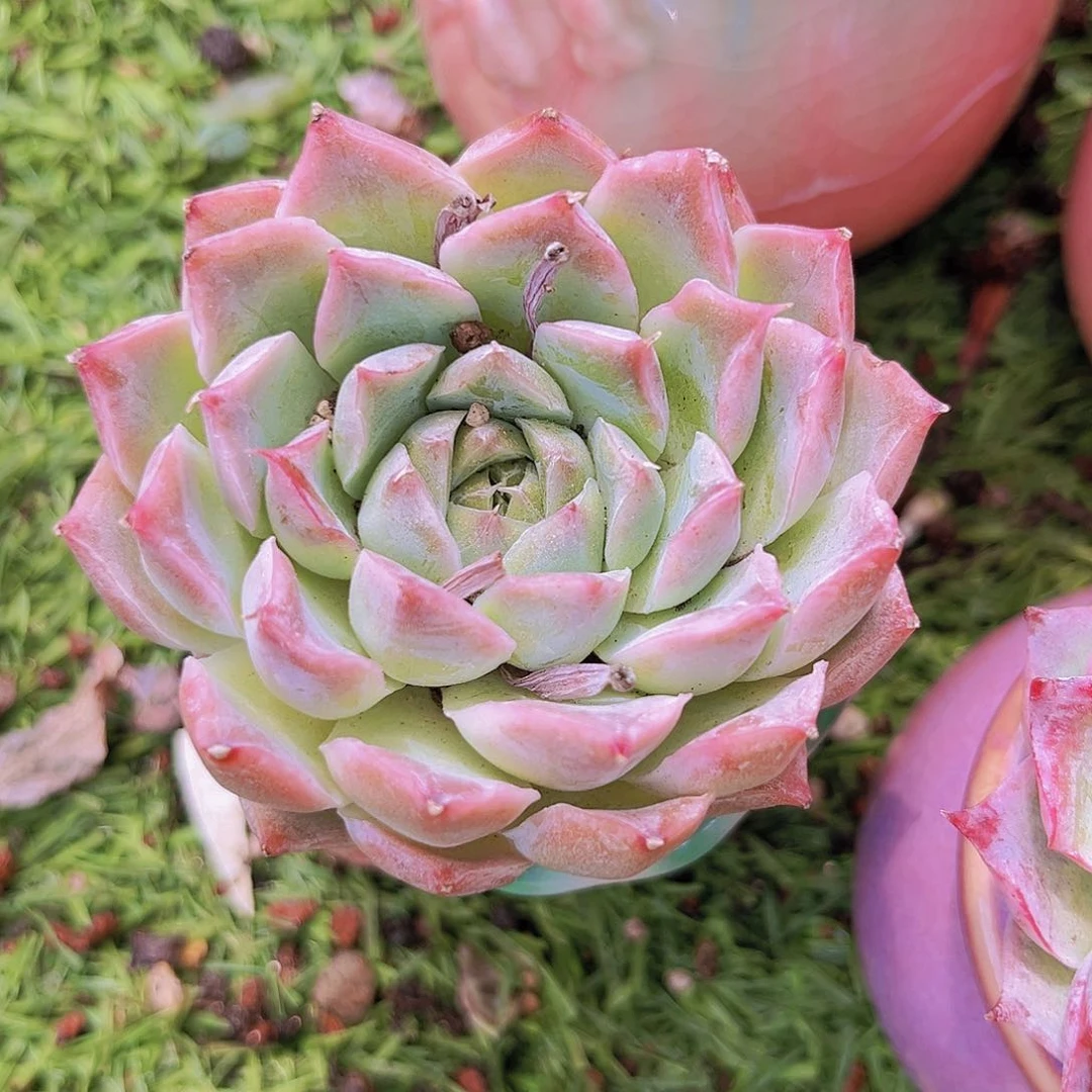 33333333333333333333