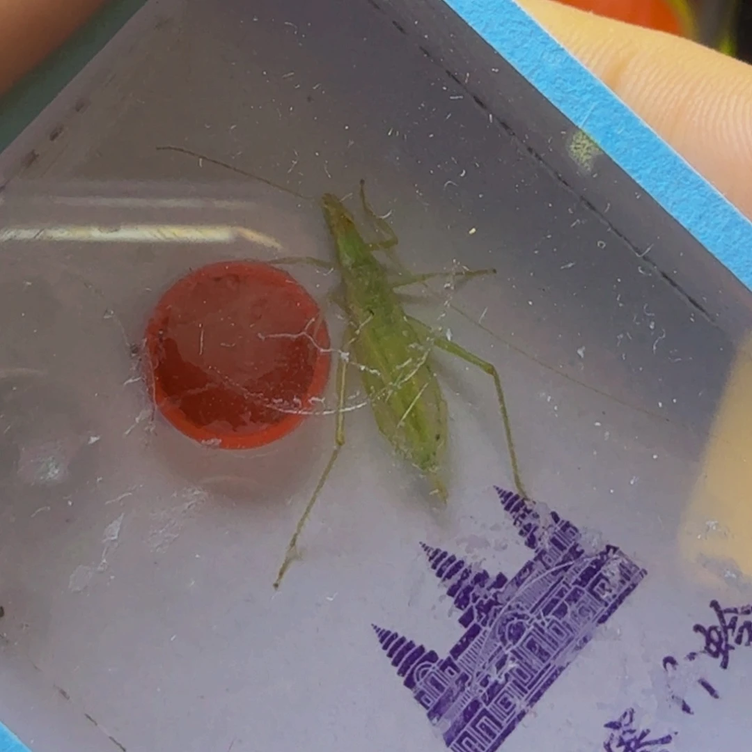 哈哈哈哈哈哈哈哈哈哈